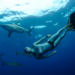 Freediving Glide Monofin