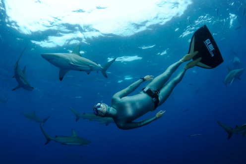 Freediving Glide Monofin