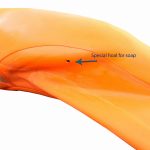 Lifesaving Speed fins Carbon