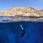 Freediving Glide Monofin