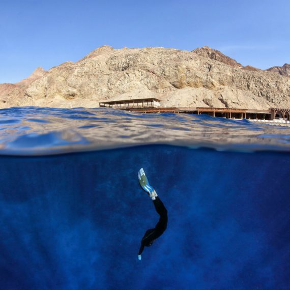 Freediving Glide Monofin