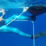 Octopus pulling system